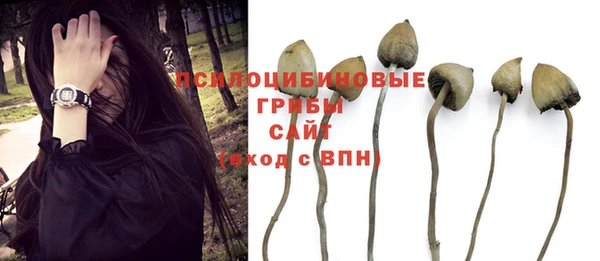 jwh Алексеевка