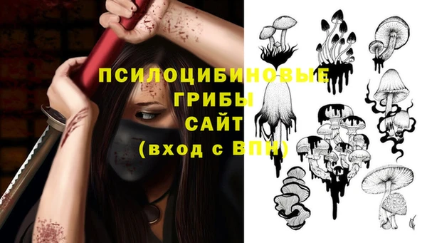 дурь Алексин